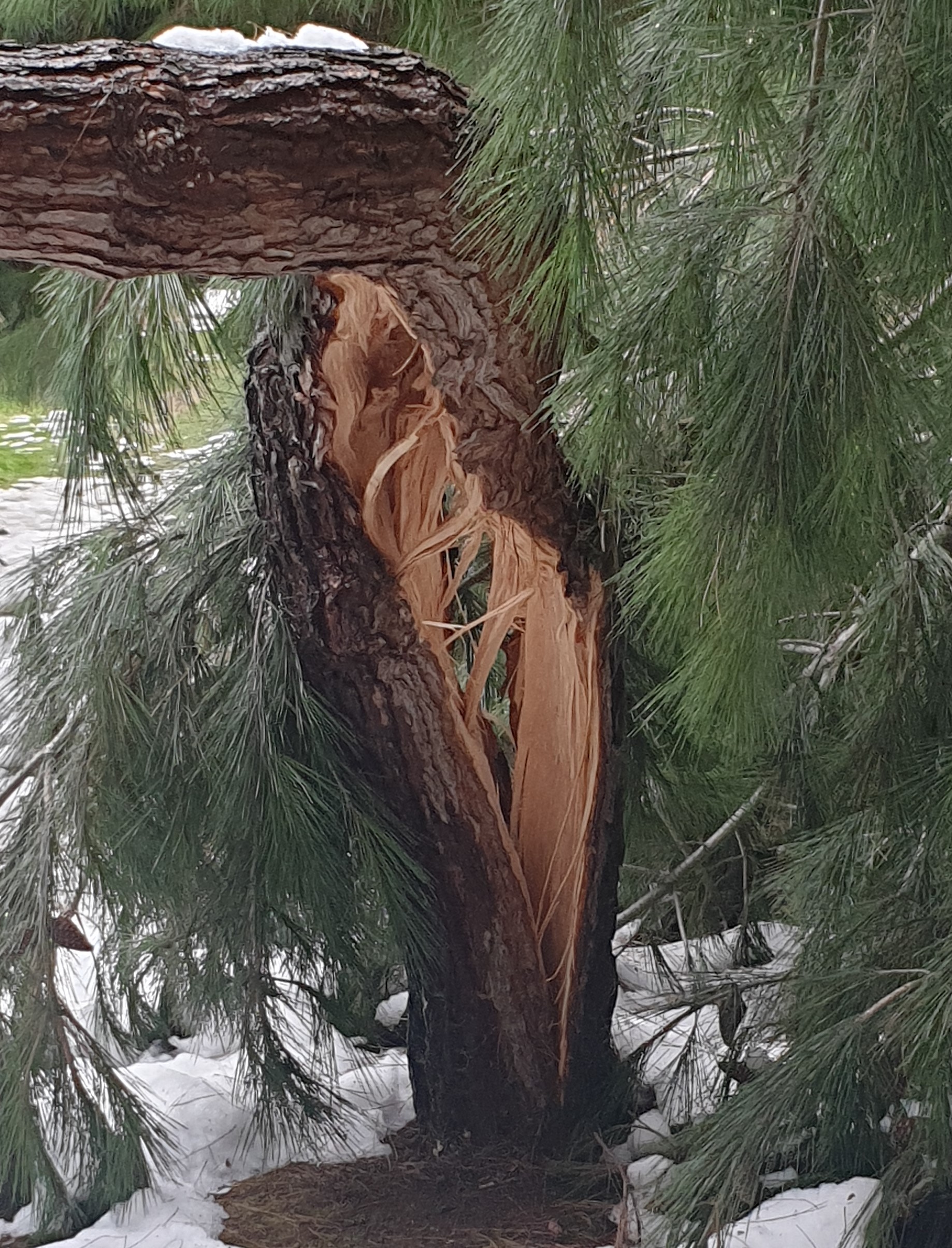 KAR YAĞDI KIRDI GEÇTİ